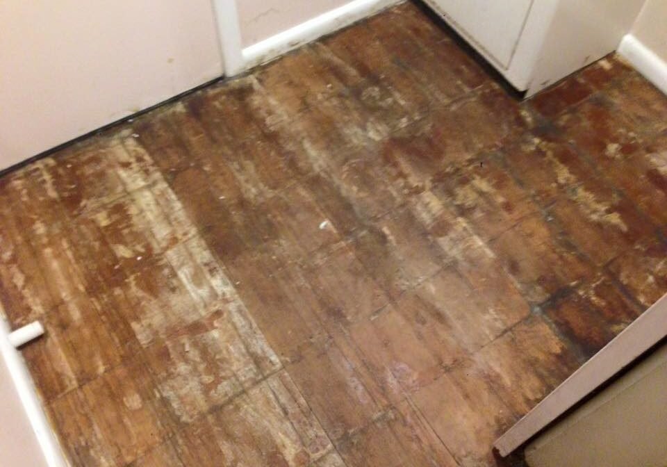 timber floor sanding west auckland