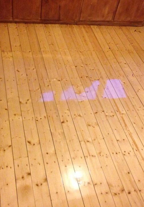 Floor sanding auckland